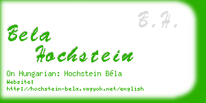 bela hochstein business card